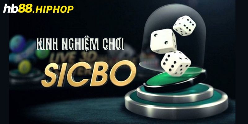 Kinh nghiệm chơi tài xỉu dành cho tân binh